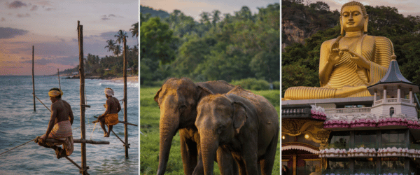 Ultimate Sri Lanka Grand Tour